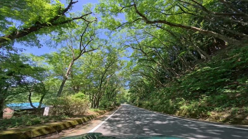 遠笠山道路